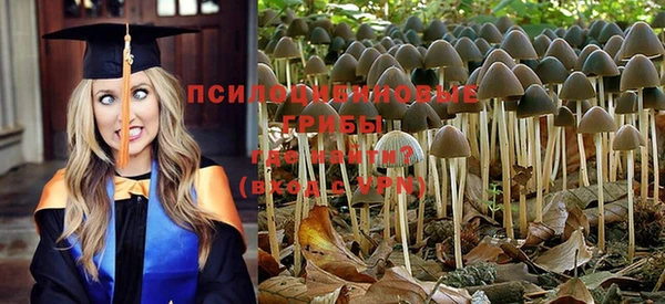 mdpv Алексеевка