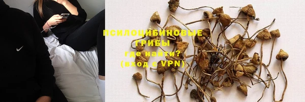 тгк Алзамай