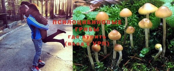 mdpv Алексеевка
