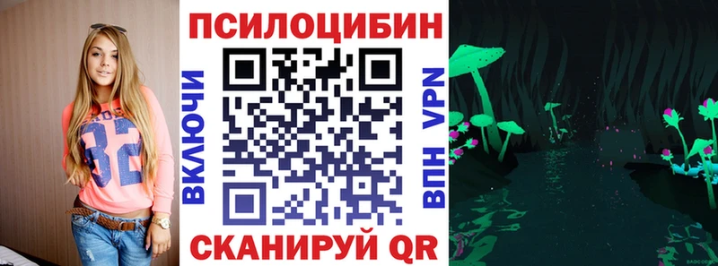 Купить  Аксай  Псилоцибиновые грибы Psilocybe 